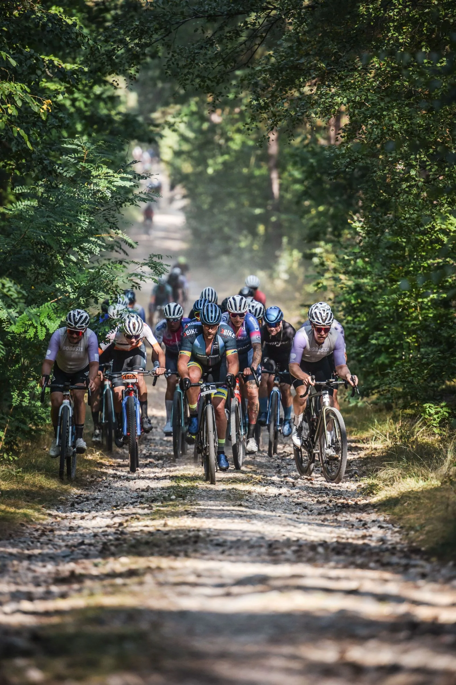 Gravelrennen HeideGravel in der Region Dahlener Heide